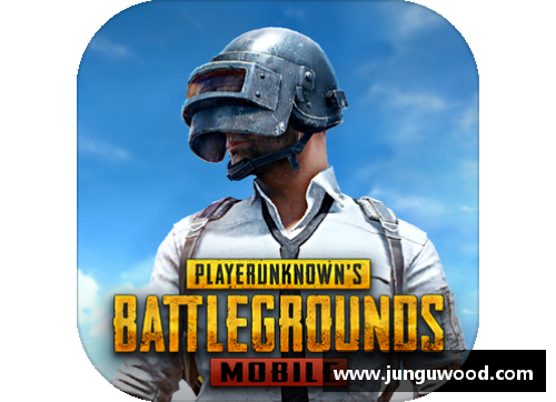 国际服28版本怎么更新？(pubg国际服31版本什么时候更新？)