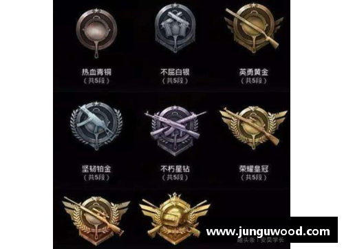和平精英龙的标志怎么弄？(和平精英为什么有个龙图标？)